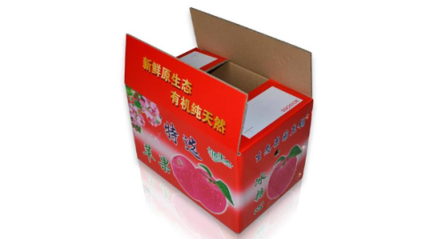 Custom Color Cartons for fruit packaging and transportation