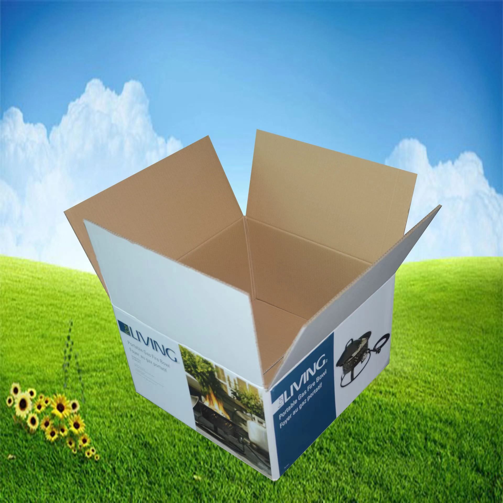 Custom Color Cartons for fruit packaging and transportation