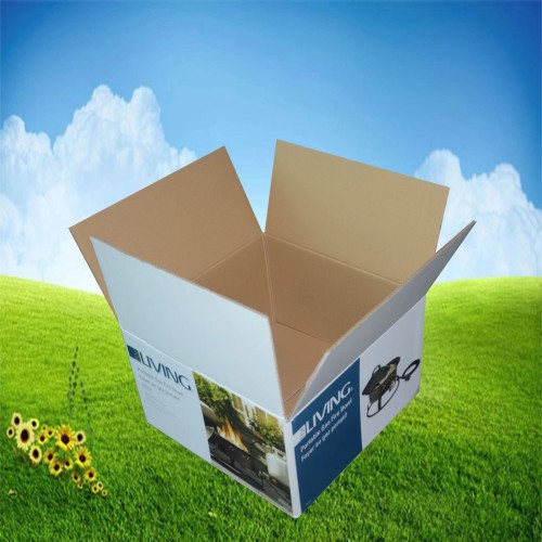 Custom Color Cartons for fruit packaging and transportation